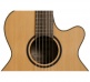 Japan Ec P3Fcn Fcx Cutaway Nylon