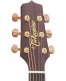 Japan Ec P3Nc Nex Cutaway