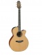 Japan Ec P3Nc Nex Cutaway