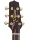 Japon P5DC Natural Satin