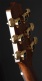 Japon P5DC Natural Satin