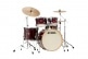 SUPERSTAR CLASSIC STAGE 22 GLOSS GARNET LACEBARK PINE