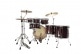 SUPERSTAR CLASSIC STUDIO 22 GLOSS GARNET LACEBARK PINE