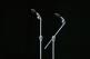 HC43BWN - Pied Perche Stagemaster