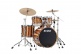 STARCLASSIC PERFORMER 4 SHELL STAGE 22 CARAMEL AURORA