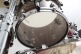 Star Walnut Stage 22 Garnet Japanese Sen Burst