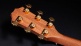 217E-Sb Plus Ltd Grand Pacific 50Th Anni Sunburst