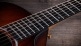 222CE DLX KOA GRAND CONCERT