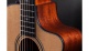 312Ce-N Grand Concert