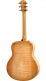 618E Grand Orchestra
