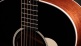 Gold Label 517e Blacktop