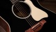 Gold Label 517e Blacktop