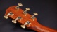 814ce Builder's Edition Honduran Rosewood / Adirondack