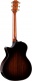 814ce Builder's Edition Honduran Rosewood / Adirondack