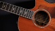 814ce Builder's Edition Honduran Rosewood / Adirondack