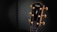 814ce Builder's Edition Honduran Rosewood / Adirondack