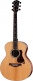 814ce Builder's Edition Honduran Rosewood / Adirondack