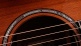 814ce Builder's Edition Honduran Rosewood / Sinker Redwood
