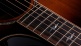 814ce Builder's Edition Honduran Rosewood / Sinker Redwood
