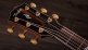 814ce Builder's Edition Honduran Rosewood / Sinker Redwood