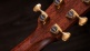 814ce Builder's Edition Honduran Rosewood / Sinker Redwood