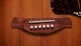 814e Gold Label Sunburst
