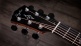814e Gold Label Sunburst