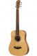 Bt1 Walnut Baby