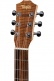 Bt1 Walnut Baby