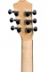 Bt1 Walnut Baby