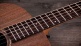 Jacob Collier Academy 22e 5-String,Walnut