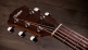 Jacob Collier Academy 22e 5-String,Walnut