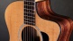 214Ce Plus Rosewood Grand Auditorium