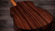 214Ce Plus Rosewood Grand Auditorium