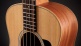 Gs Mini-E Bass 2024 - Recondicionados