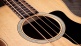 Gs Mini-E Bass 2024 - Recondicionados