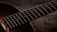GS Mini-e Rosewood SB