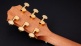 Gs Mini-E Ltd Grand Symphony 50Th Anni Vintage Sunburst