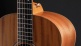 Gs Mini-e Mahogany