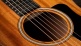 Gs Mini-e Mahogany
