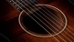 Gs Mini-E Koa Plus Shaded Edgeburst