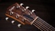 Gs Mini-E Koa Plus Shaded Edgeburst