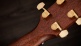 514ce Legacy LTD