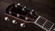 810e Legacy LTD