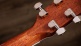 810e Legacy LTD