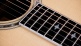 815e Legacy LTD