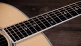 815e Legacy LTD