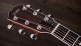 815e Legacy LTD