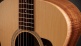 Academy 12e LTD,Figured Koa/Spruce