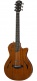 T5Z Classic